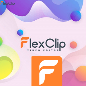 flexclip box