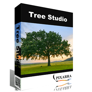 pixarra tree studio