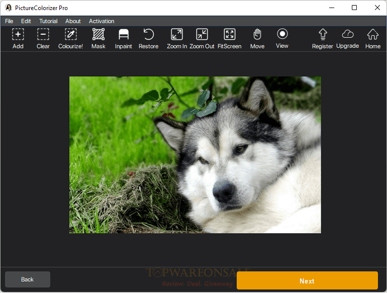 Picture Colorizer Pro Free License Code Giveaway