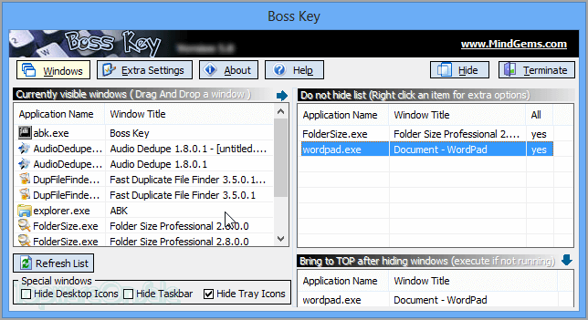 mindgems boss key screenshot