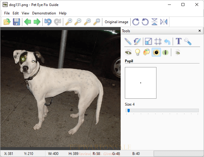 Tint Pet Eye Fix Guide License Key Free
