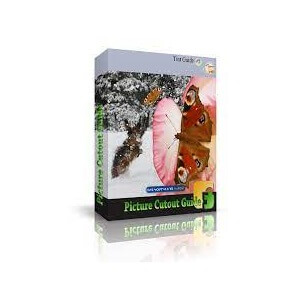 tintguide-picture-cutout-guide