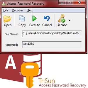 trisun-access-password-recovery trisun-access-password-recovery