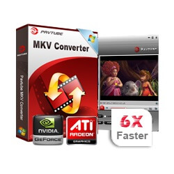 pavtube-mkv-converter