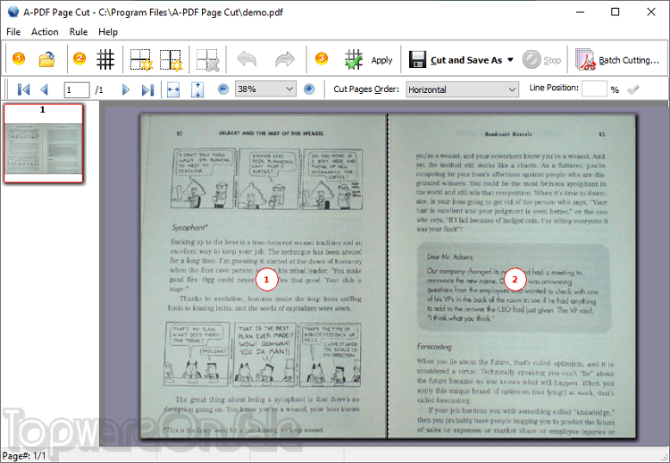 a pdf page cut screenshot