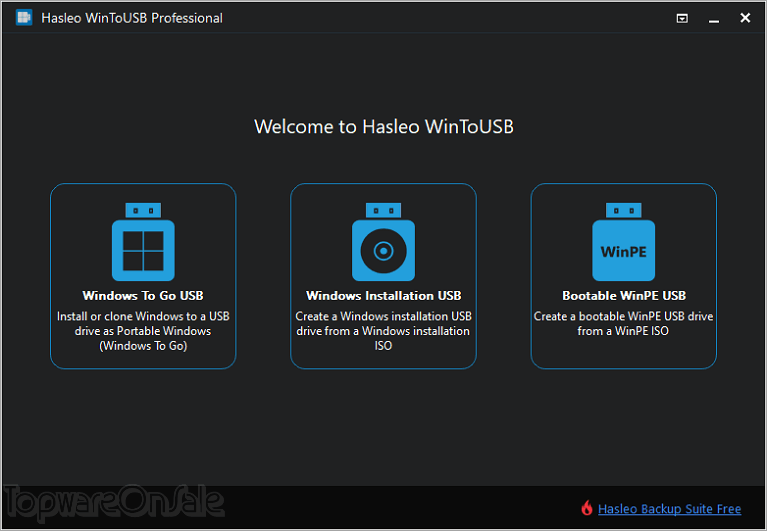 wintousb professional screenshot