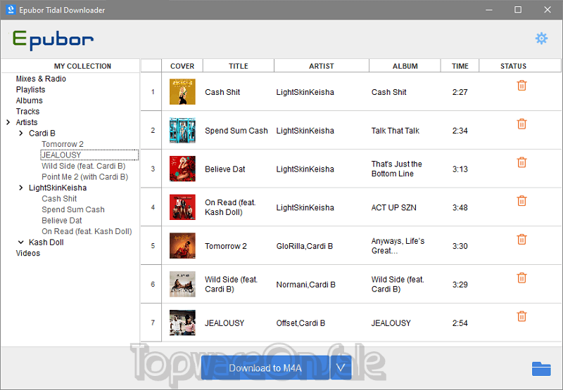 epubor tidal downloader screenshot