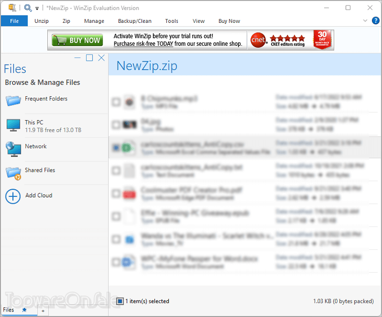 winzip screenshot
