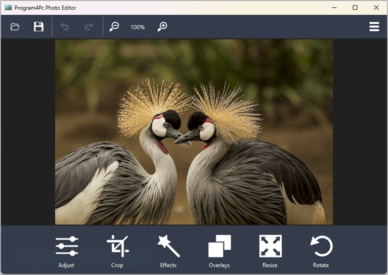 program4pc photo editor screenshot