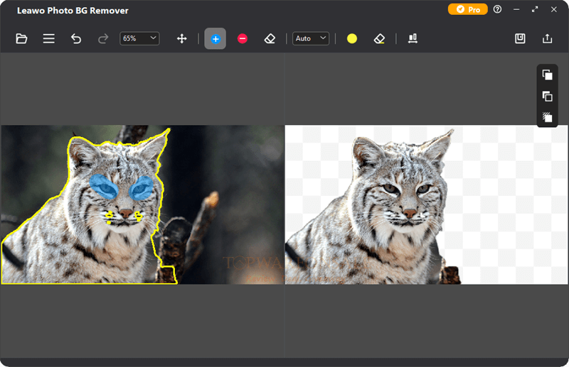 Leawo Photo BG Remover